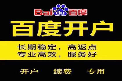 sem百度竞价广告投放策略的五大成功案例