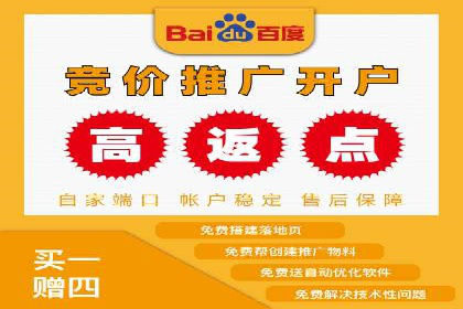 竞价SEM托管案例：提升广告投放效果